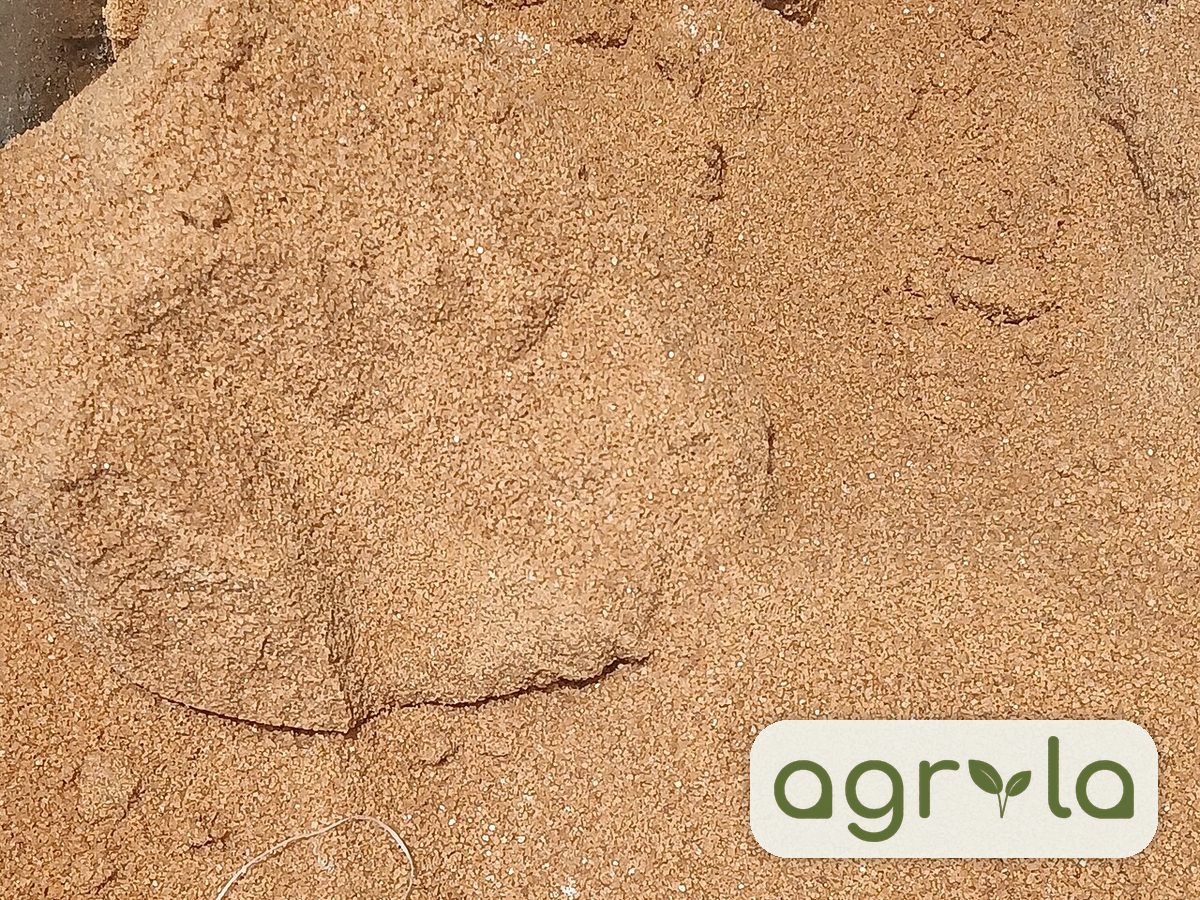 Brown raw sugar