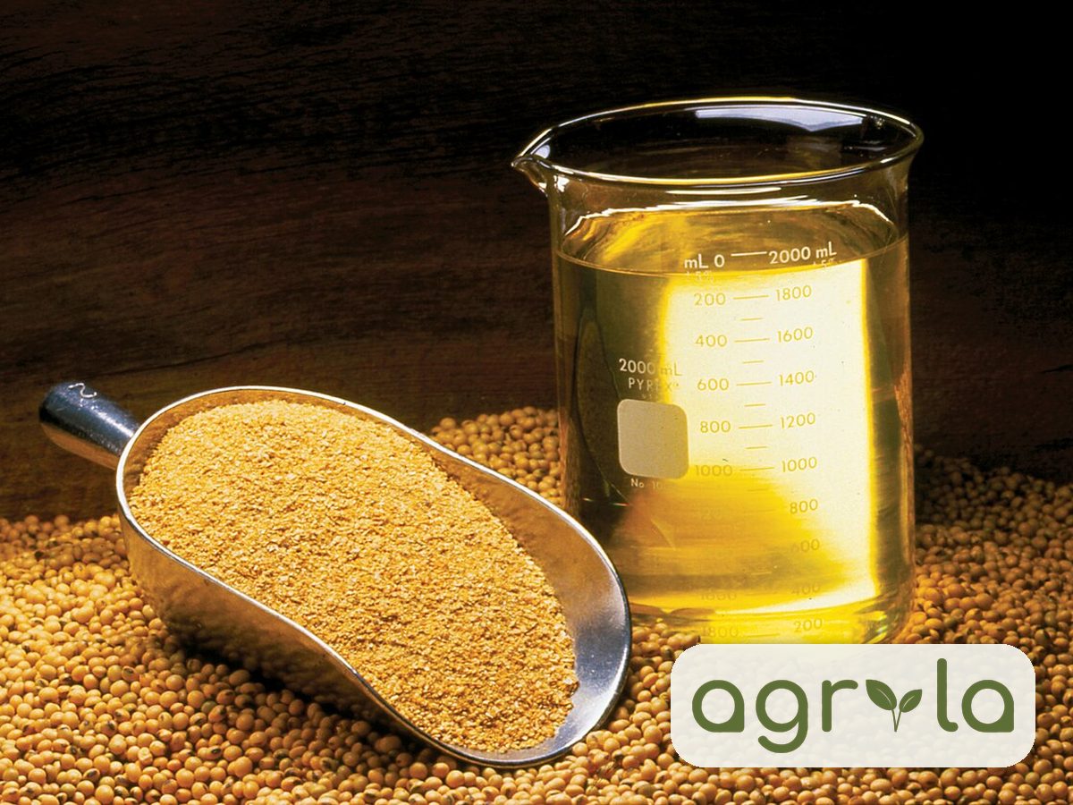 Soybean Oil