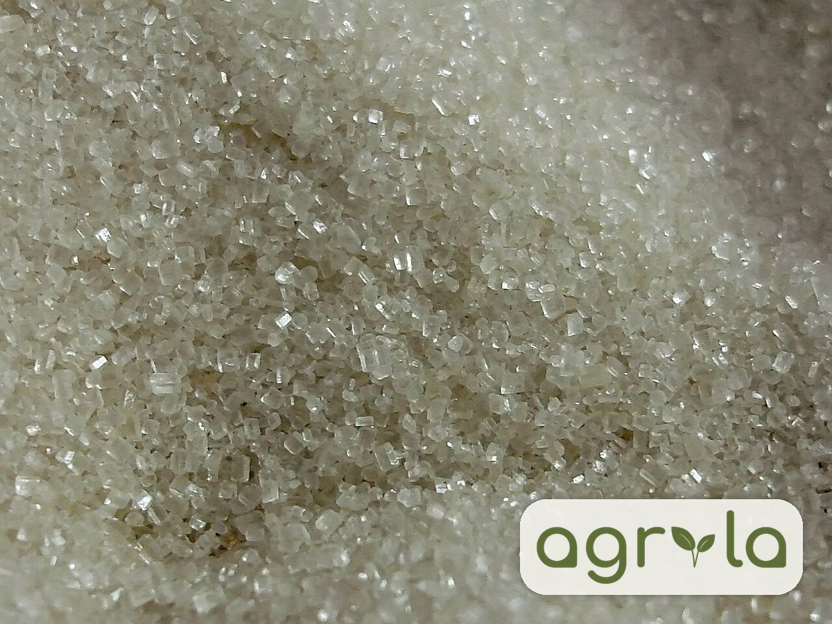 White Sugar ICUMSA 100-150